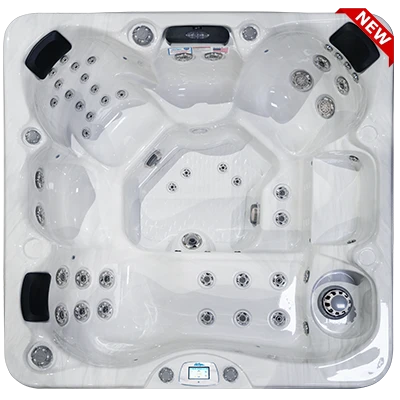 Avalon-X EC-849LX hot tubs for sale in Decatur